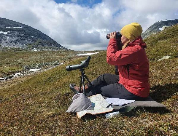Arbete i fält (600×459 px) Uggla