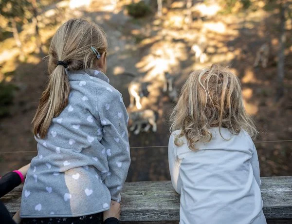 Kommunikation och pedagogik (600×459 px) Igelkott