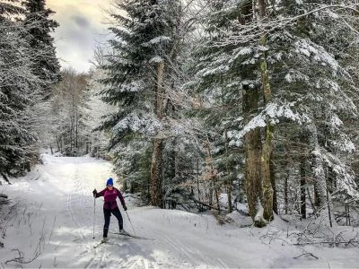 Järvsö Bergscykel Park 