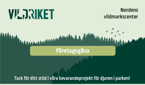 foretagsgave