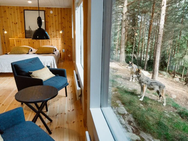 Varghotellet i Vildriket